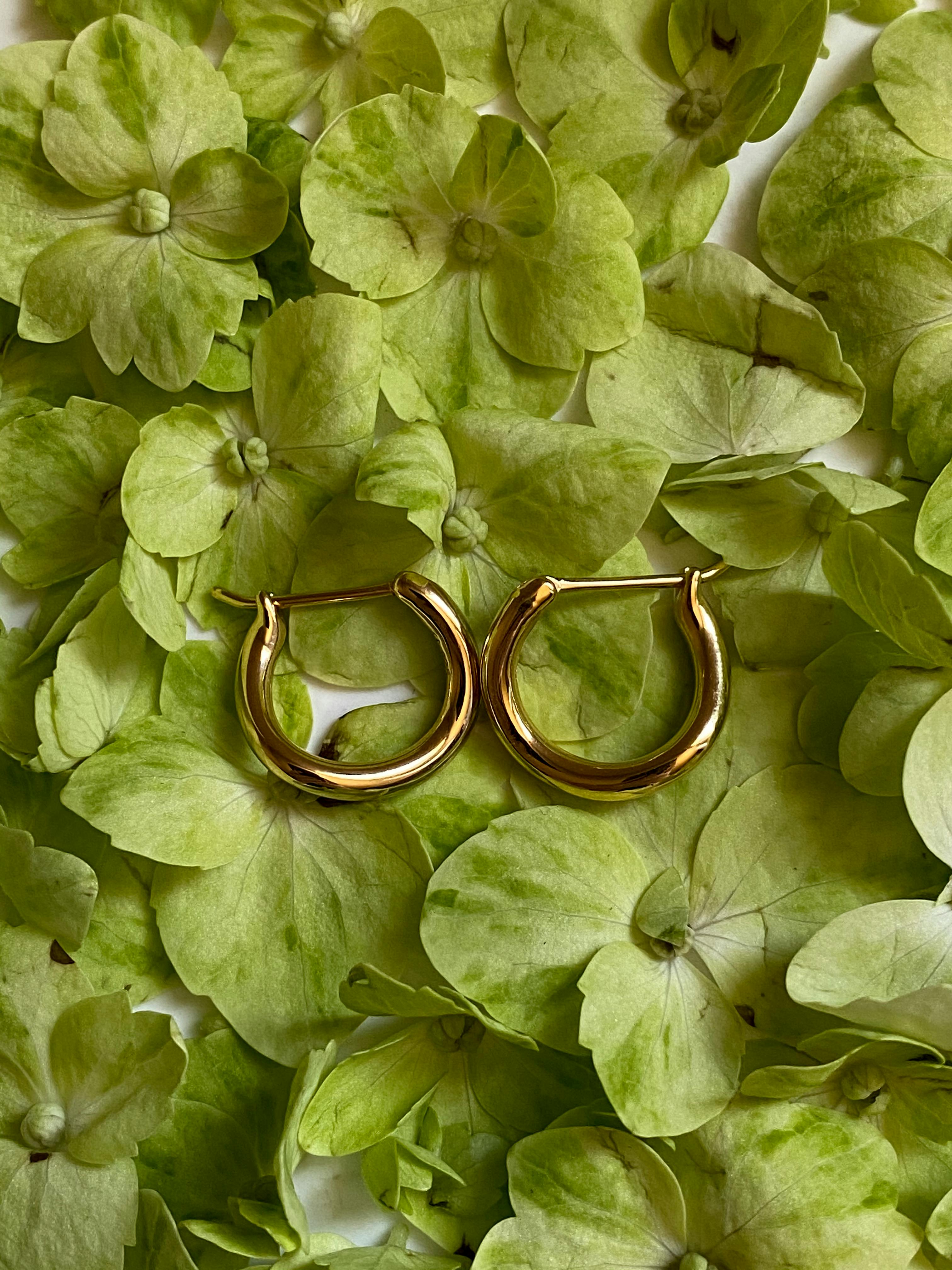 golden earrings placed on light green petals
