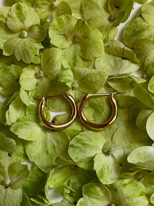 Golden earrings placed on light green petals