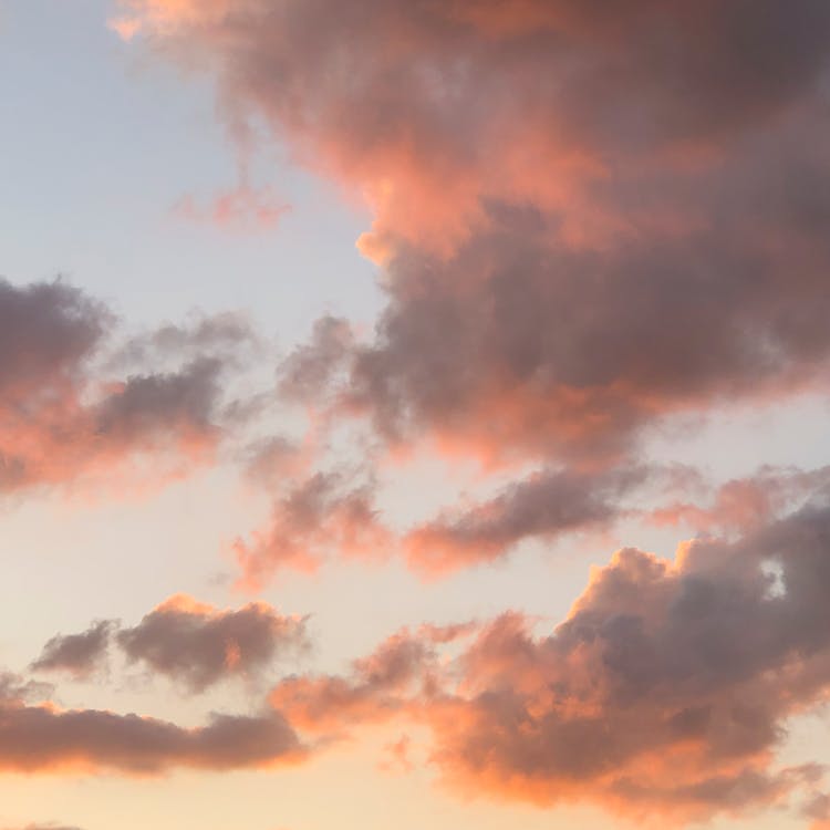 Pink Clouds Floating On Blue Evening Sky