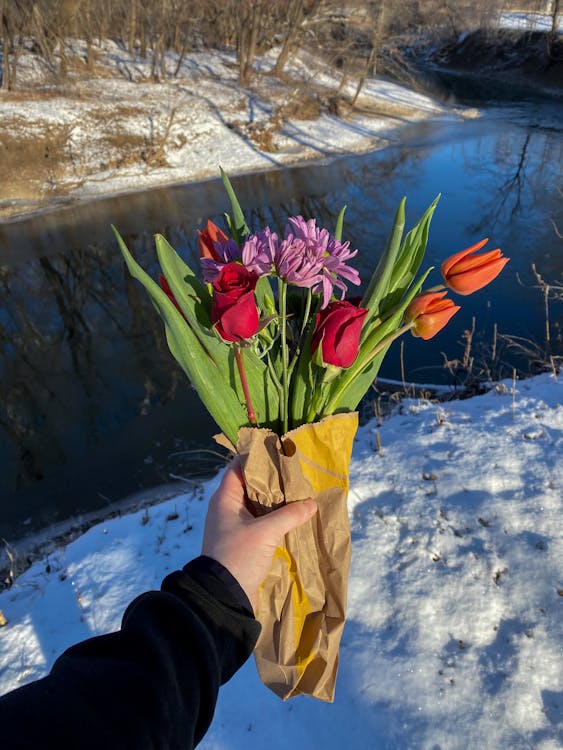 Free Faceless person holding bouquet of fresh flowers on snowy river shore Stock Photo