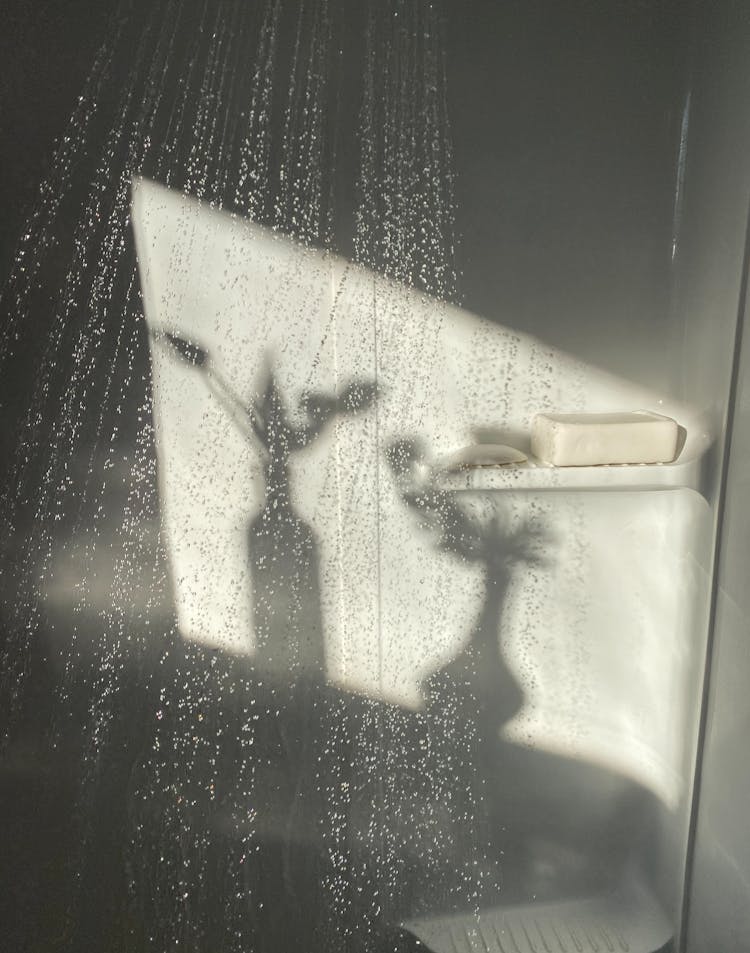 Shadow Of Flowers Vases On Wall Of Shower Cabin