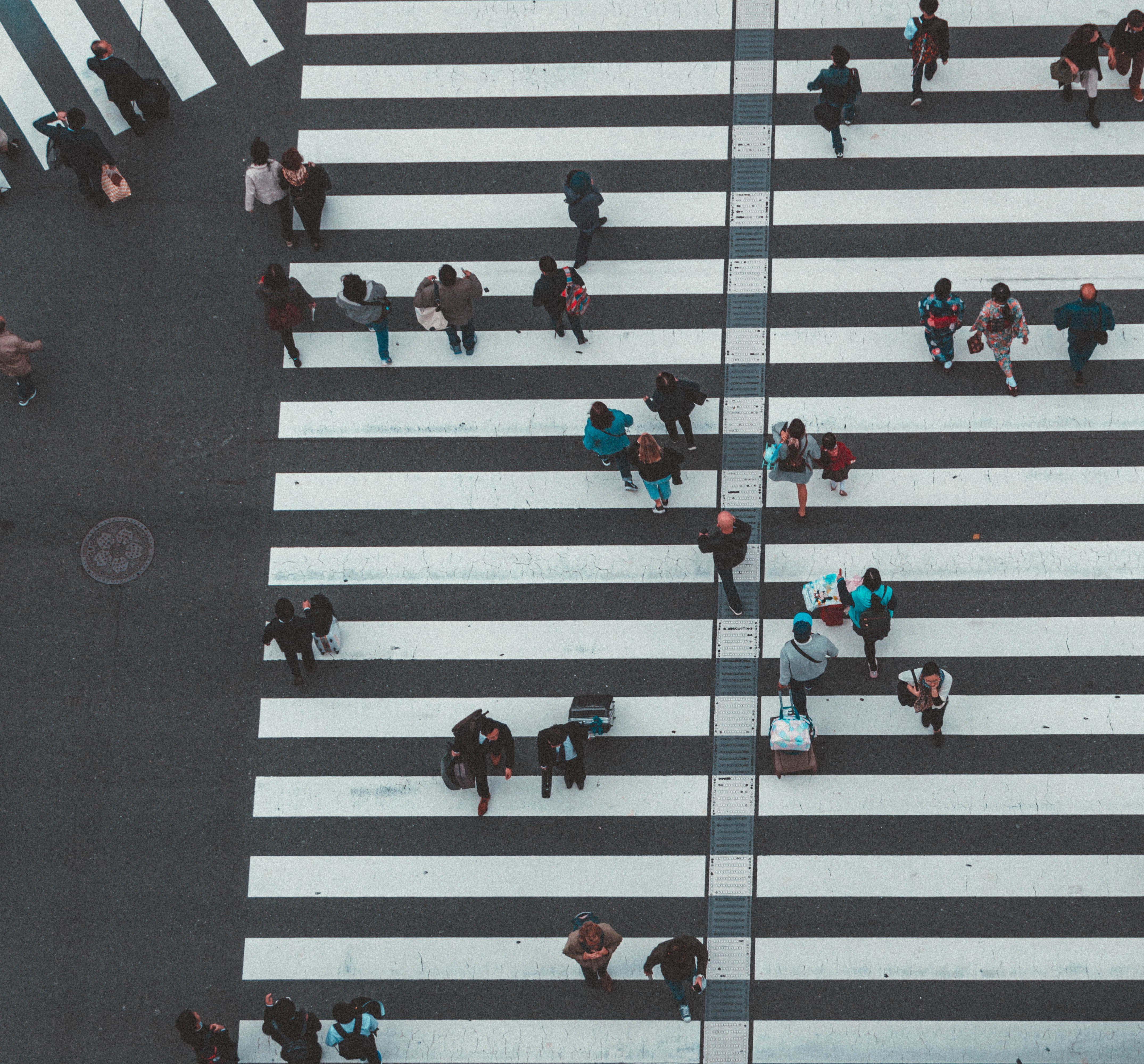 policy explainers public policy — Photo by Hafeisi on Pexels
