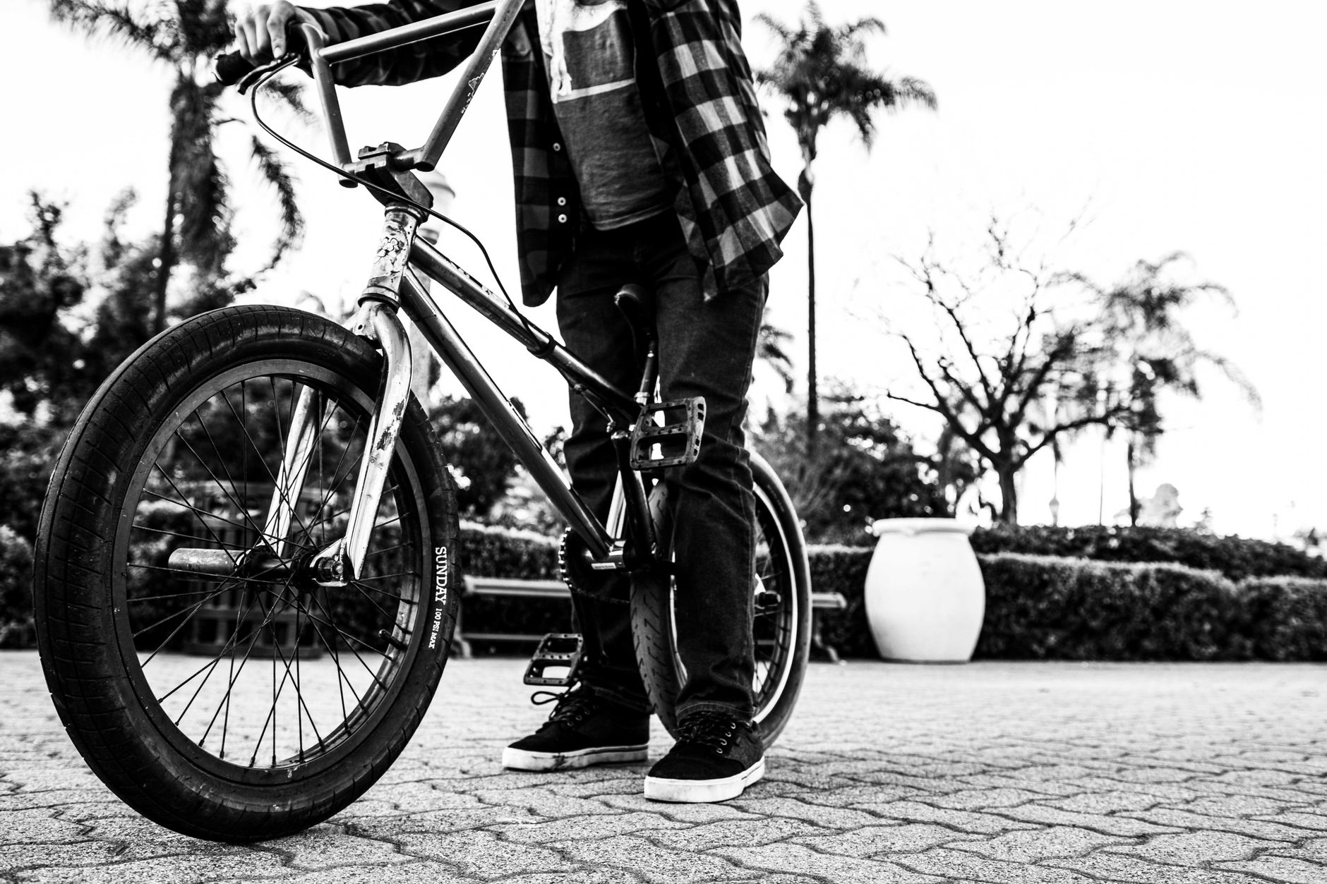 Best Mongoose Bikes 2026