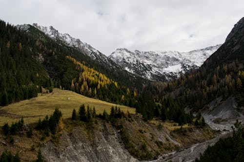 Gratis stockfoto met Alpen, bergen, Bos