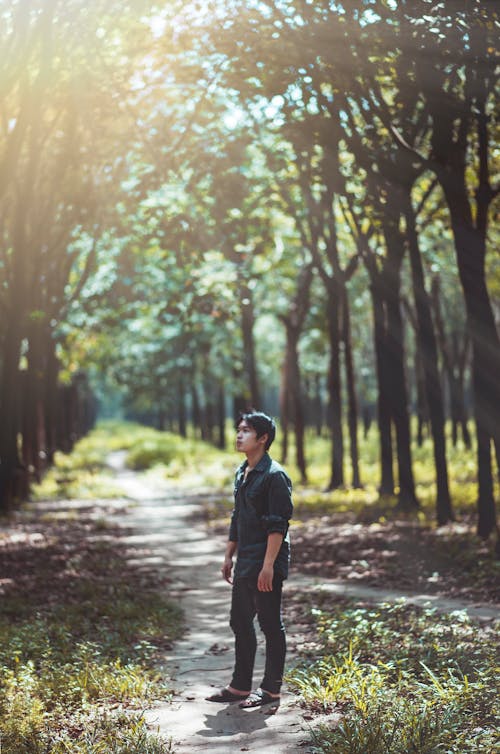 Man Looking at the Trees