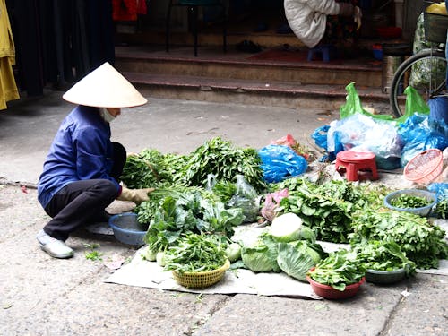 Free stock photo of asian greens, fresh vegetables, greens