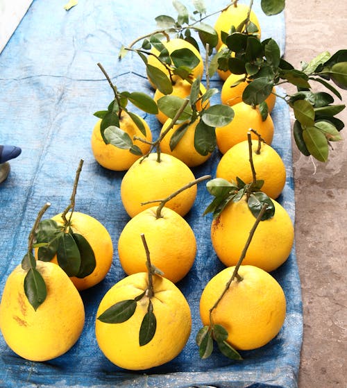 Free stock photo of lemons, yellow fruit