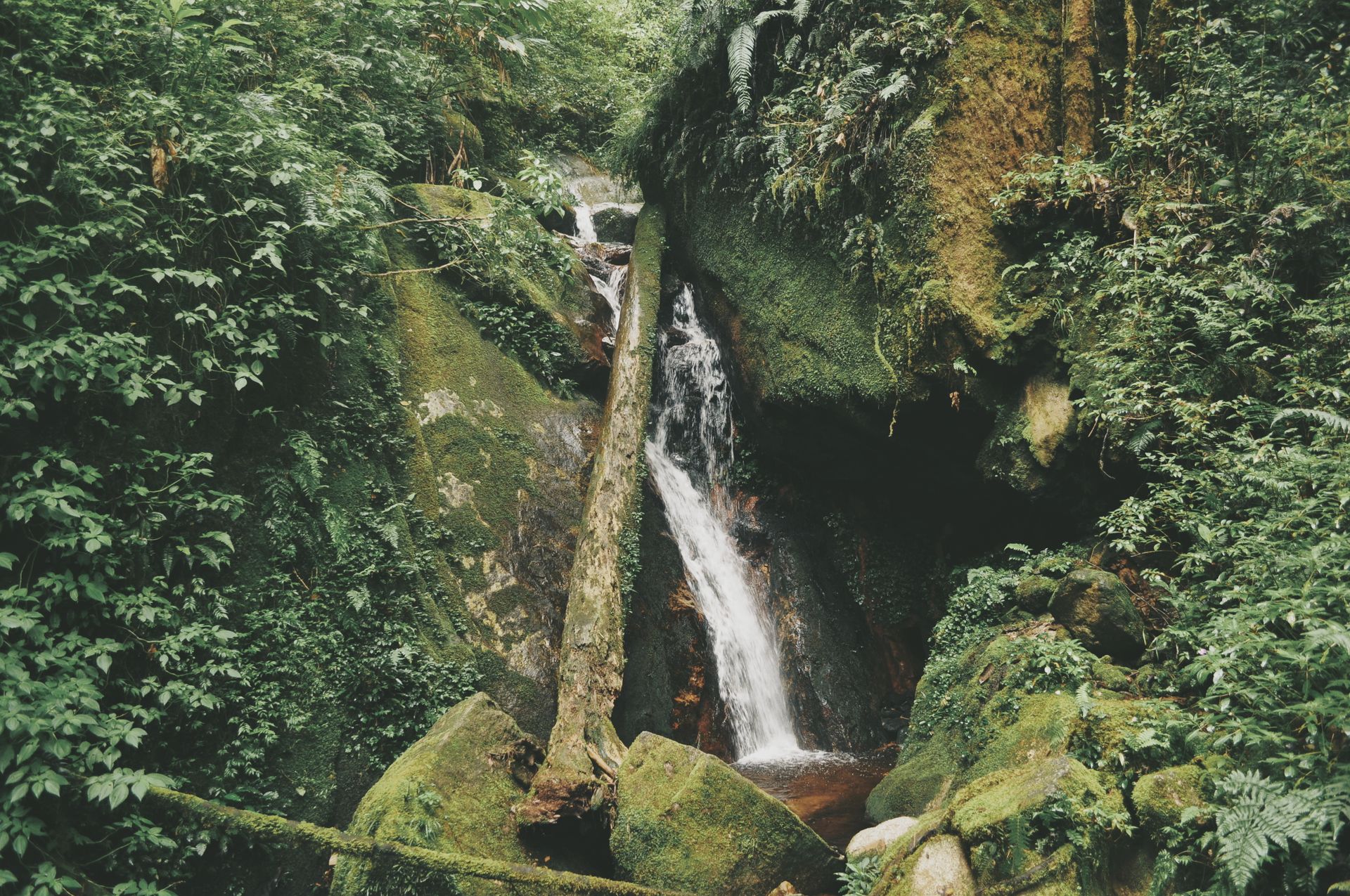 Discover the lush greenery and tranquil waterfall nestled in Ranau, Sabah.
