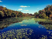 秋景优美，宁静的湖泊四周环绕着树木，秋叶生机盎然，映照着清澈的蓝天