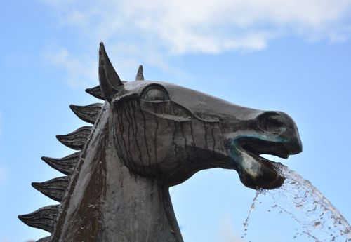 Free stock photo of cheval eau, fontaine cheval, haras de lamballe Stock Photo