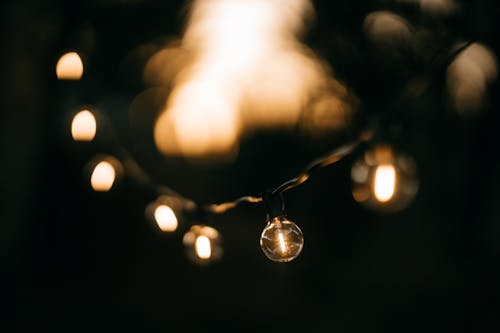 Close Up Photo of Yellow String Lights