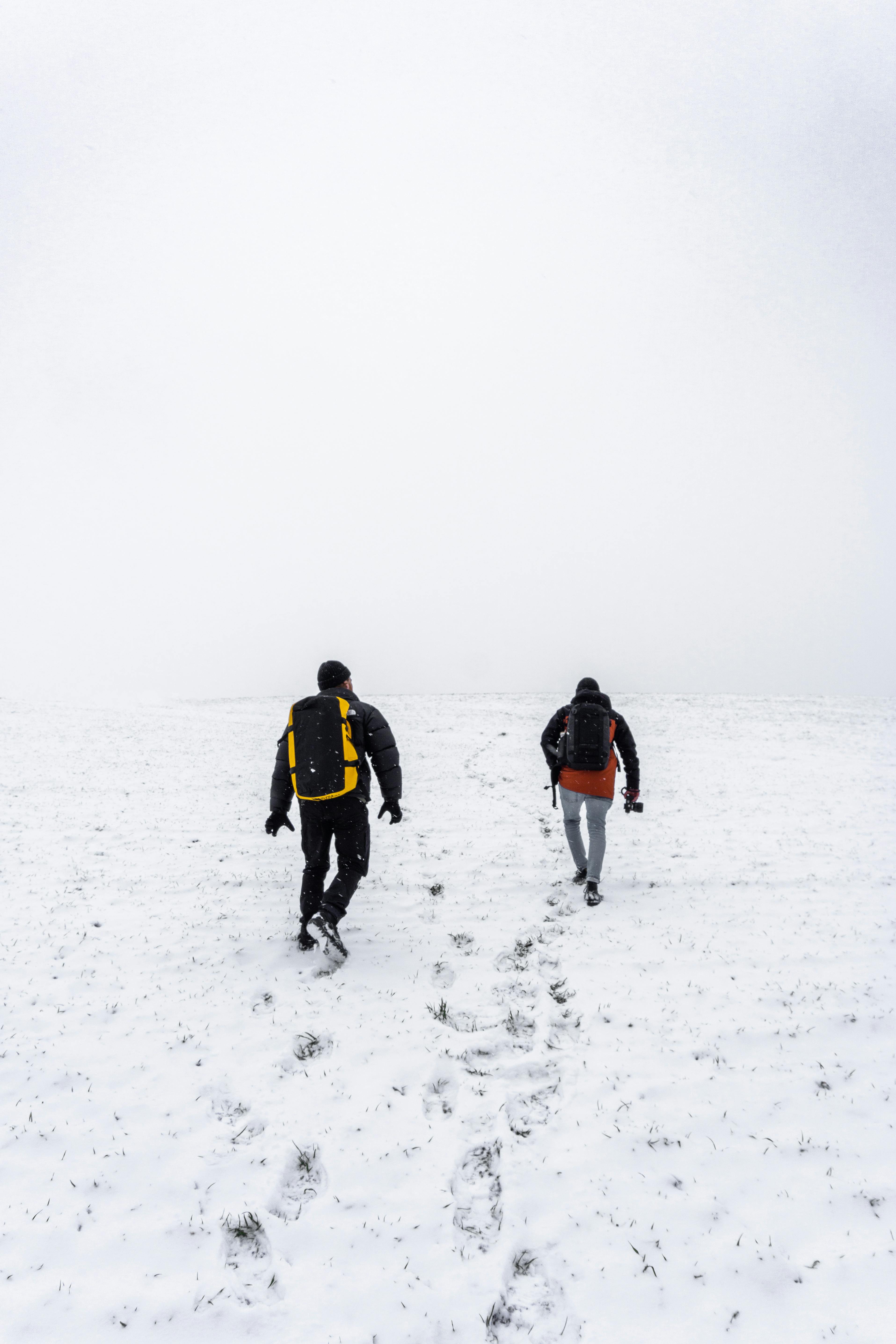 Two Men Walking in the Forest · Free Stock Photo