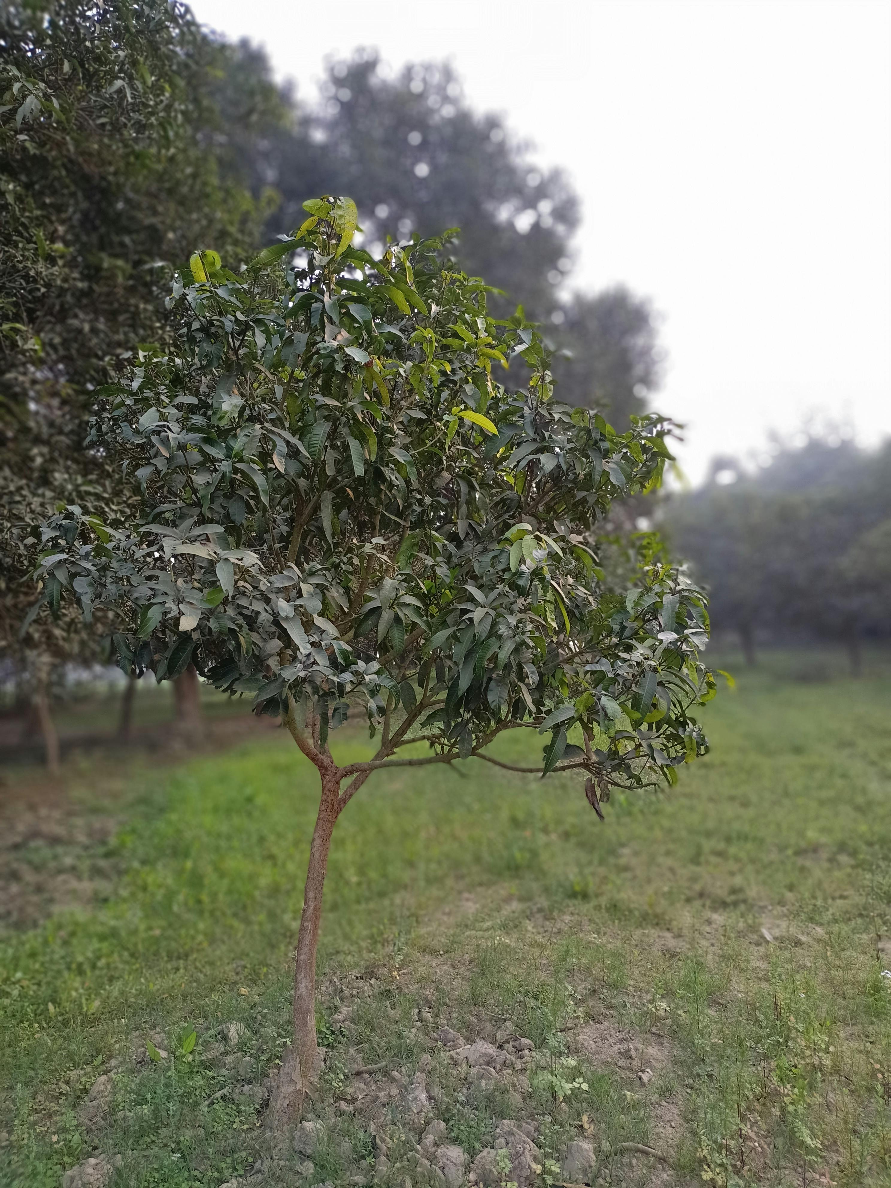 Pessoa a relaxar enquanto o dinheiro cresce num gráfico, simbolizando renda passiva
