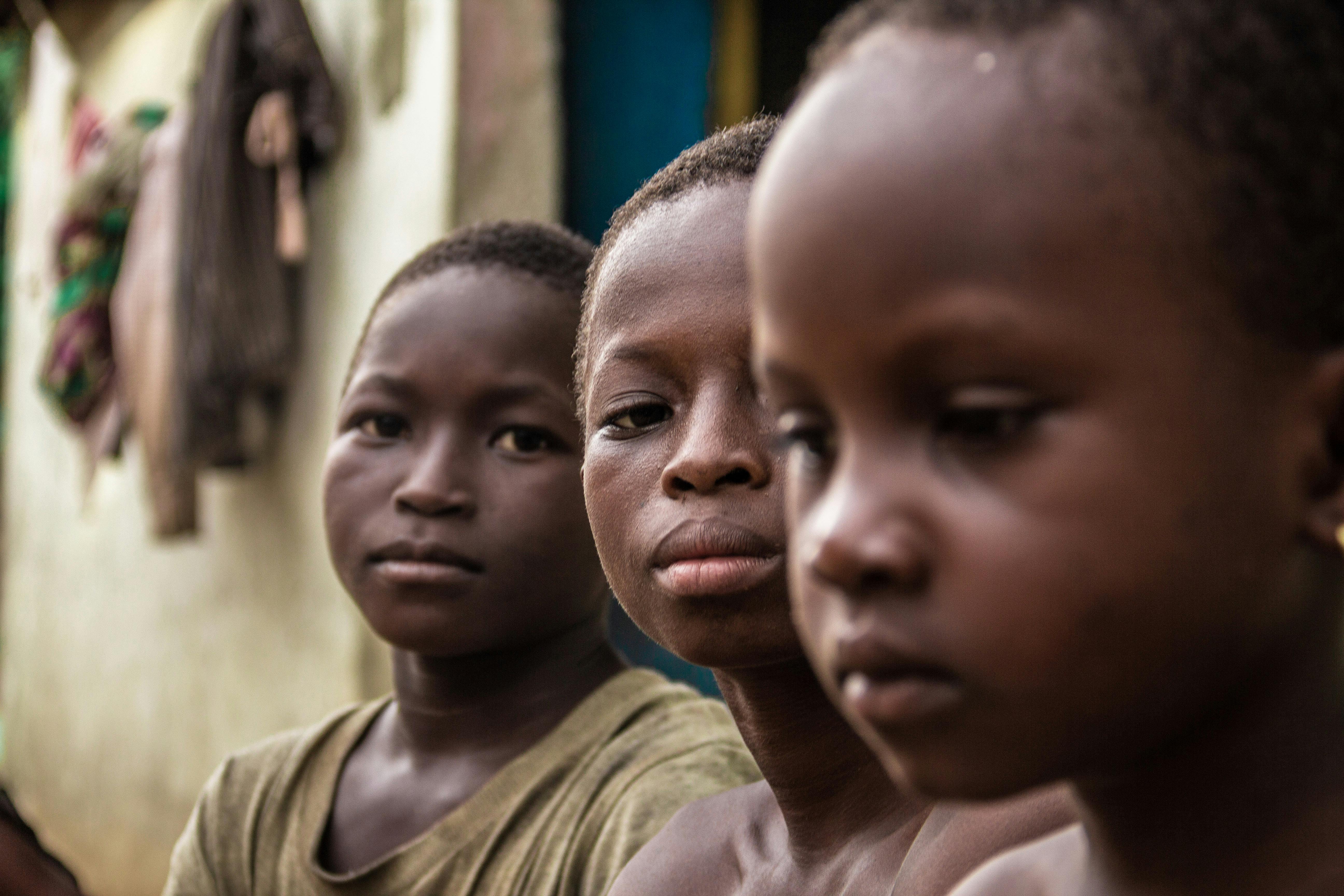 Gratis Immagine gratuita di alla ricerca, amicizia, avvicinamento Foto a disposizione