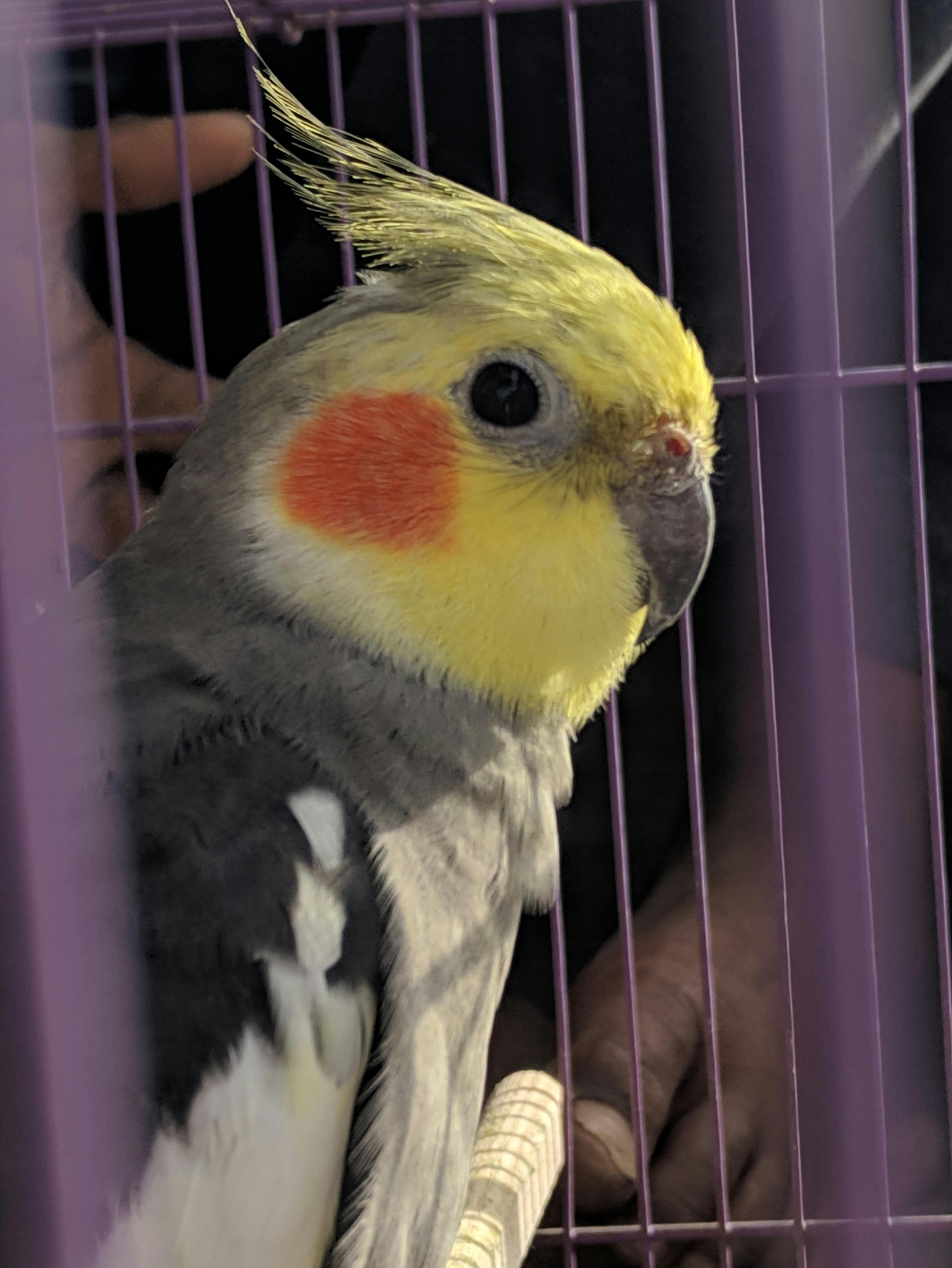 Fast quotation service for trading and supply Abu Dhabi UAE