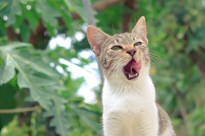 Những lỗi thường gặp khi làm sổ sách kế toán và cách khắc phục