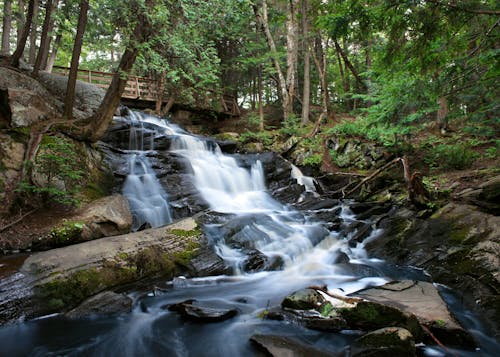 Kostnadsfri bild av bäck, flod, natur