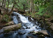 宁静的瀑布流经森林，展现了大自然的静谧之美