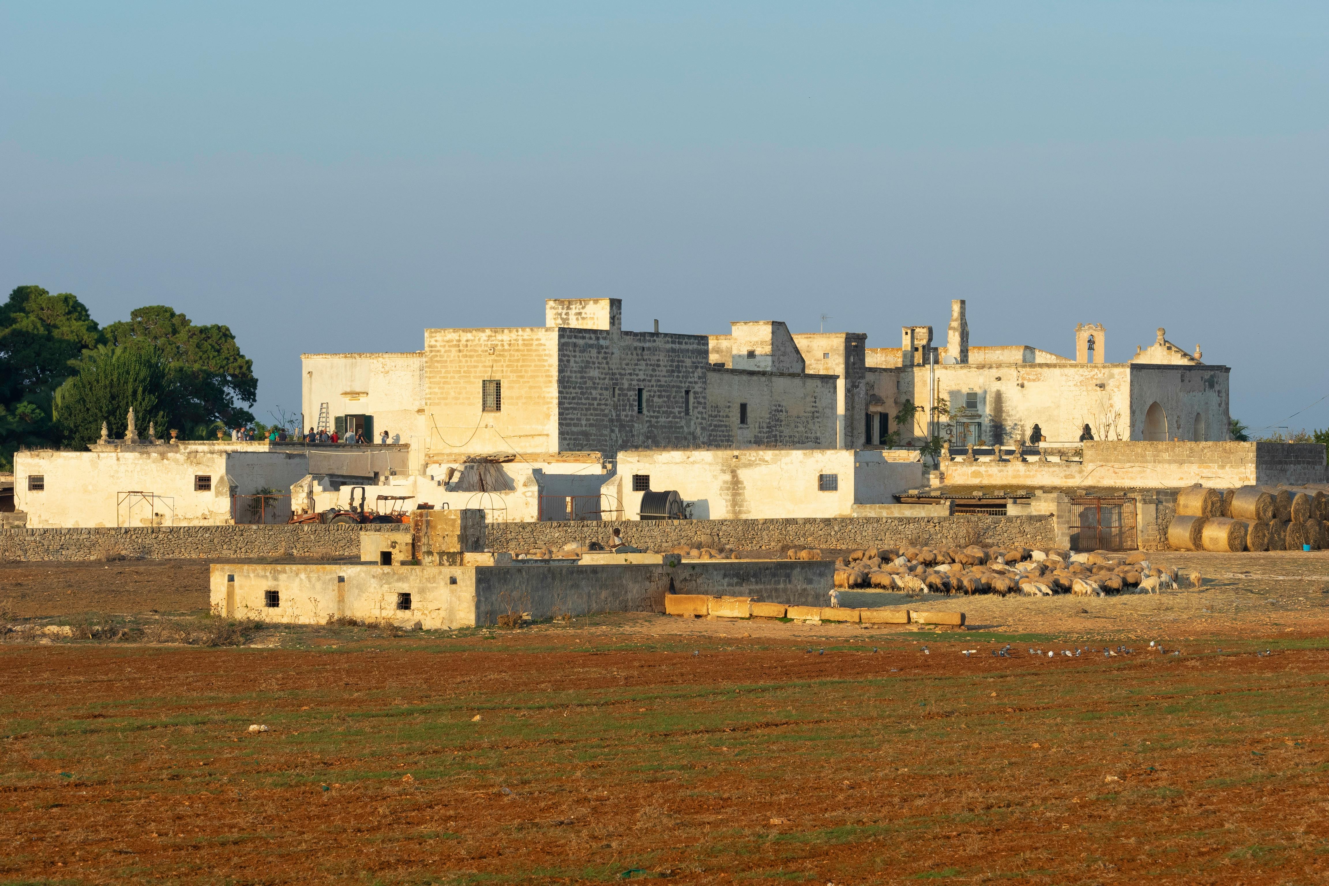 Mão a segurar uma planta a crescer de moedas, simbolizando o crescimento do dinheiro e o investimento.