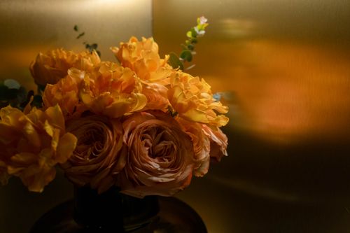 Free A beautiful close-up of vibrant orange flowers in a vase against a warm background. Stock Photo