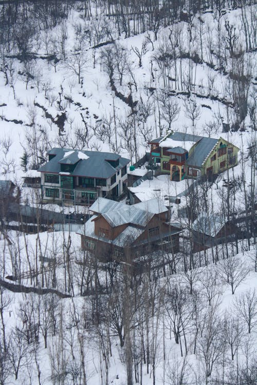 Houses Surrounded With Snow