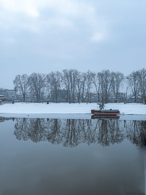 Fotos de stock gratuitas de cubierto de nieve, frío, invierno