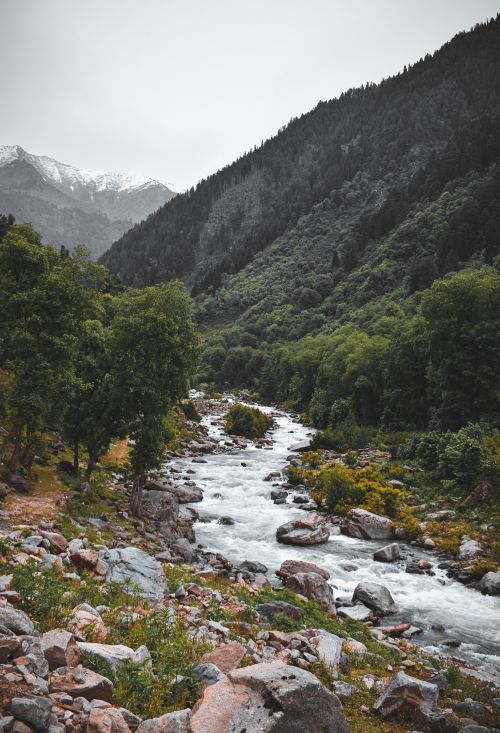 Free Scenic view of a mountain river cascading through a lush, green valley under a cloudy sky. Stock Photo