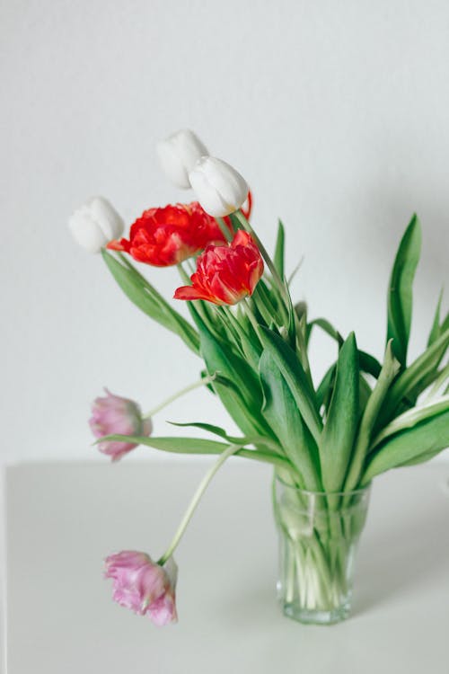 Free Flowers in a Glass Vase Stock Photo