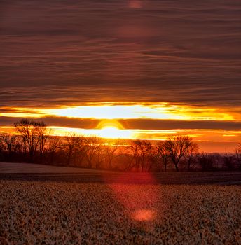 Beautiful sunset over a field with silhouetted trees in Minnesota. Warm and serene atmosphere.
