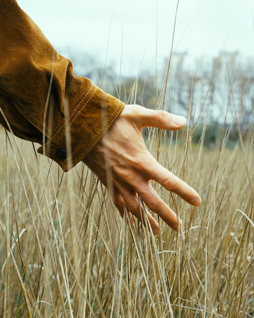 A Person Touching the Grass