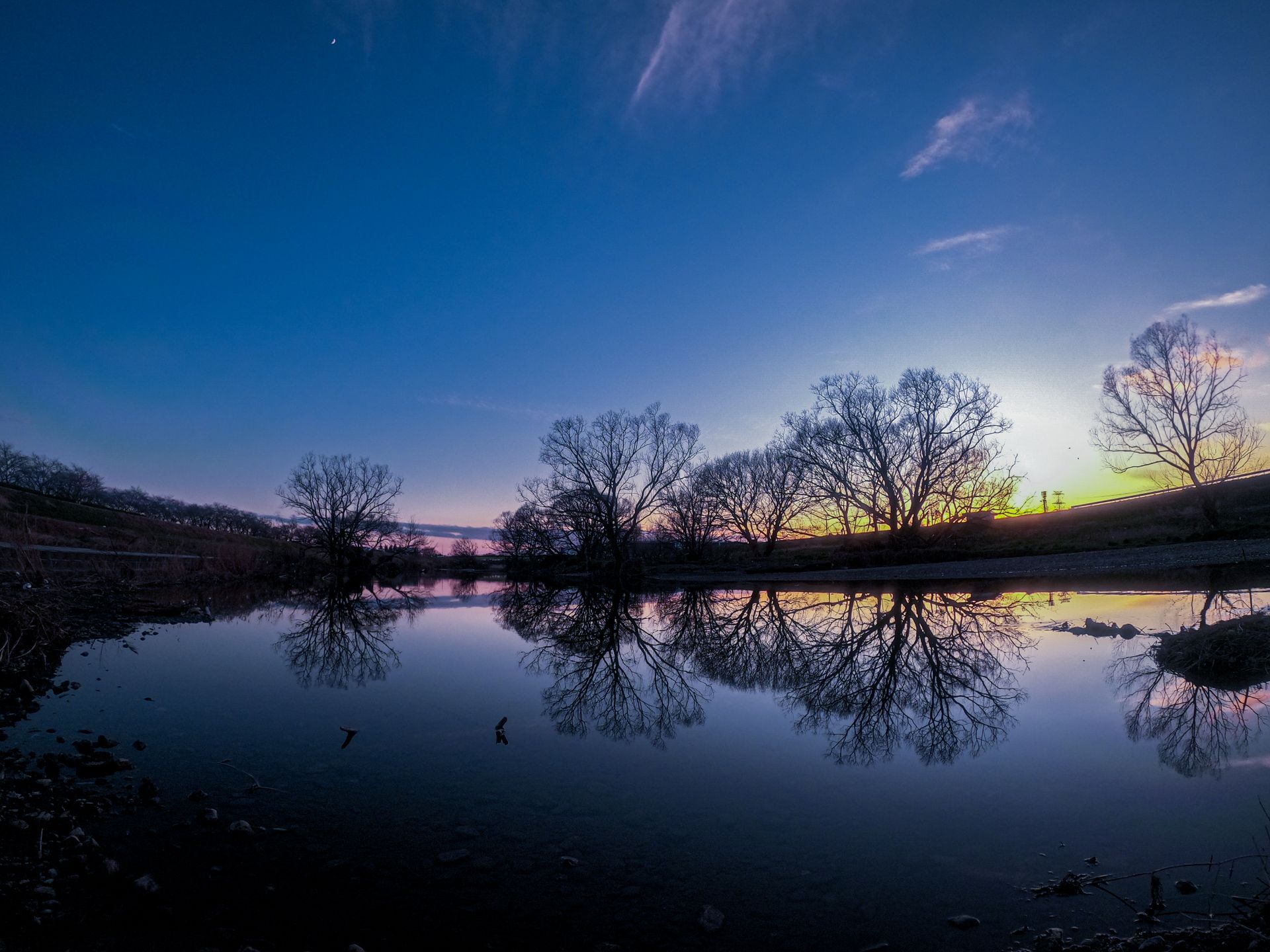 Tranquil sunrise reflecting trees over a serene Japanese lake in spring.