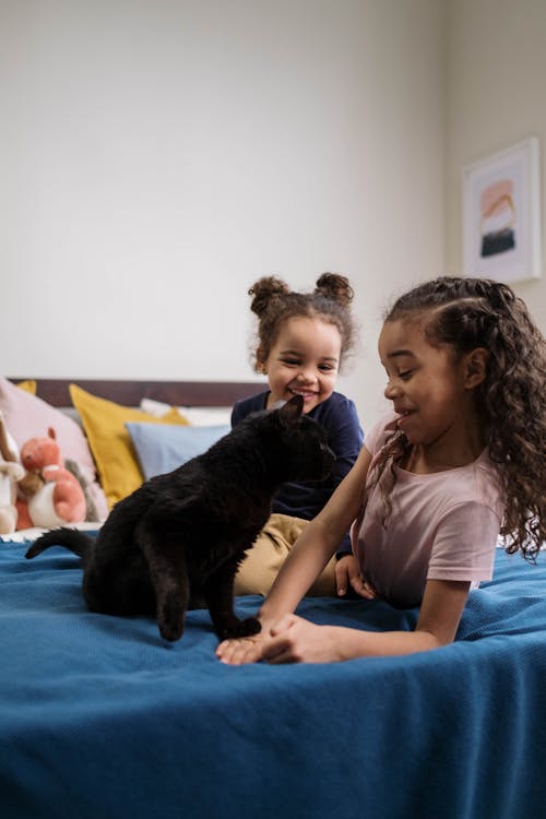 Kids Playing with Black Cat