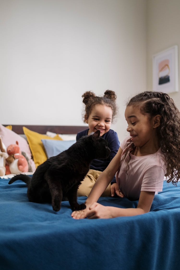 Kids Playing With Black Cat