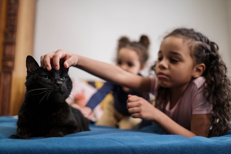 Kids Lying On Bed With Black Cat