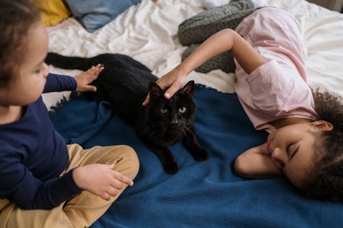 Free Kids Lying On Bed with Black Cat Stock Photo