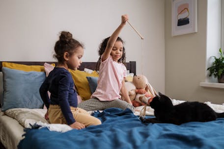 Two kids enjoy playtime with a black cat and toys on a cozy bedroom bed.