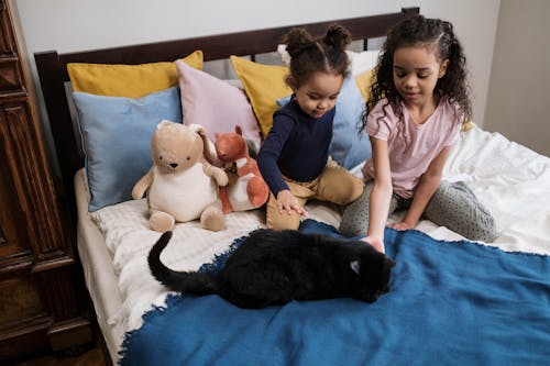 Free Kids on Bed with Black Cat Stock Photo