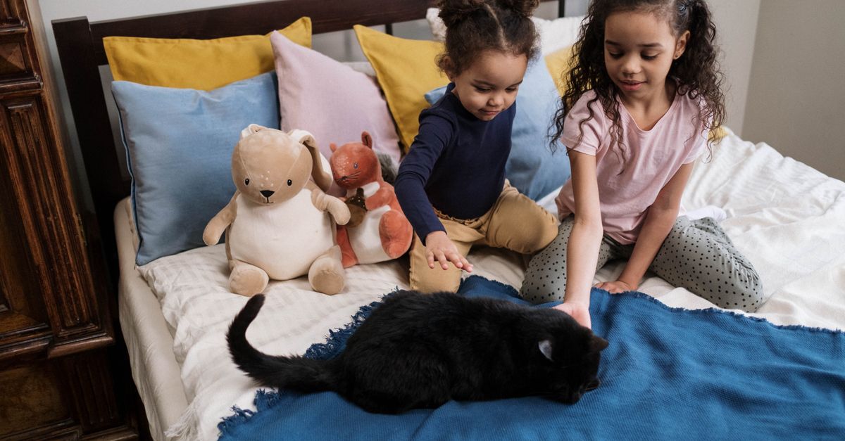 10 Essential Tips for Creating the Ideal Pet Zone at Home