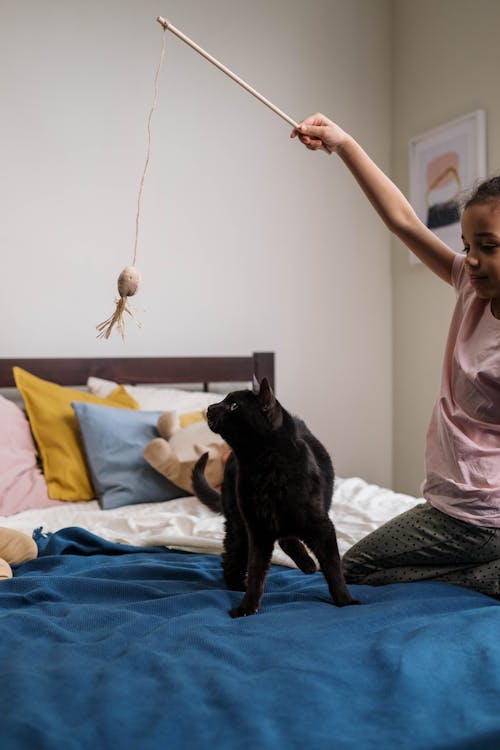 Kid Playing with Black Cat