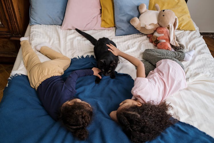 Kids Lying On Bed With Black Cat