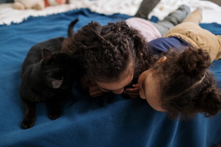 Kids Playing With Black Cat