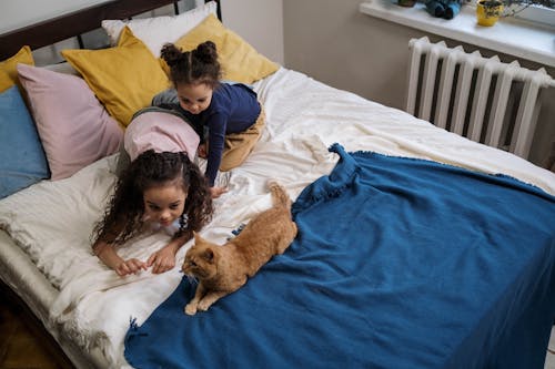 Free Kids Lying on Bed Covered With Blue Blanket Stock Photo