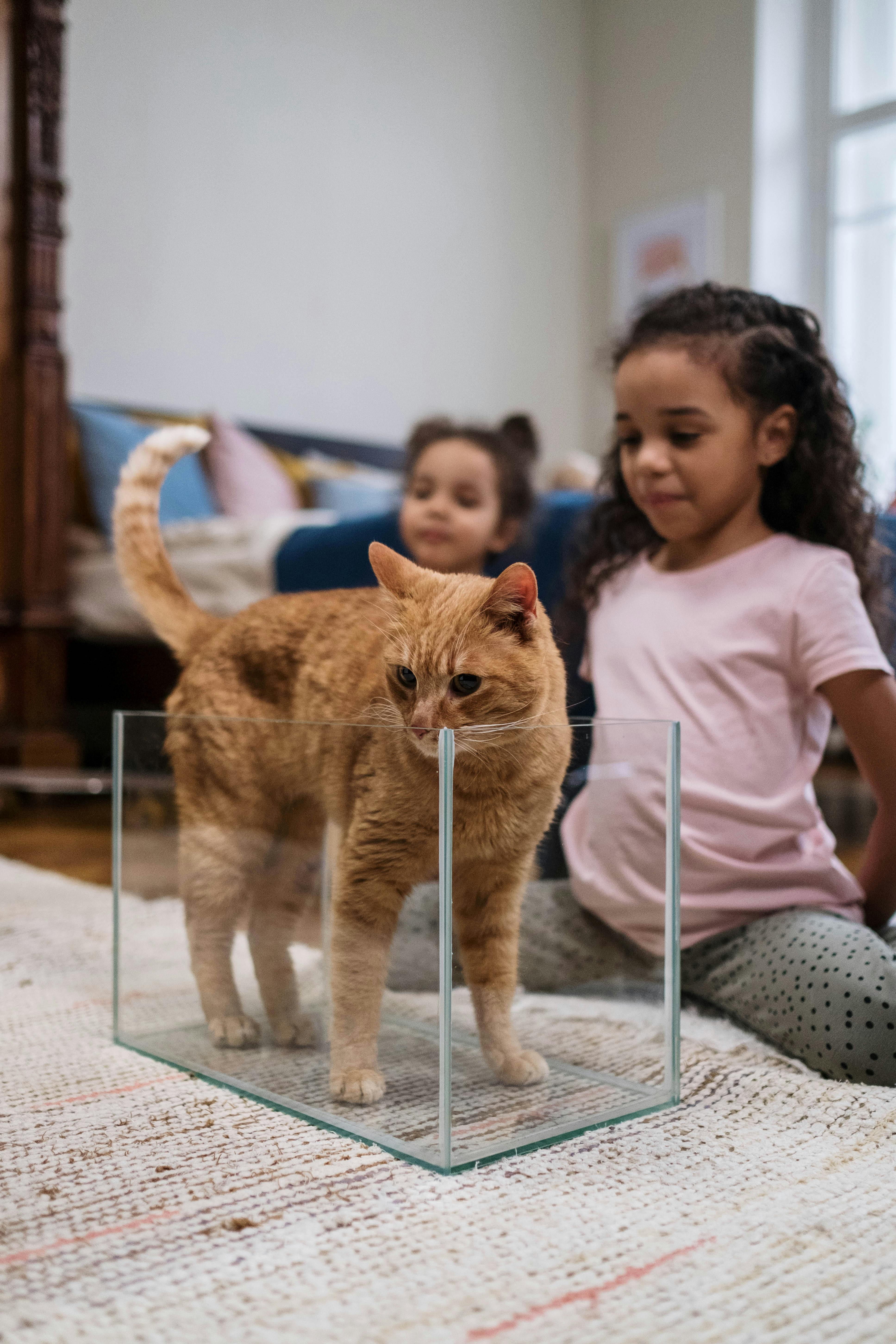 Do girls play Lost Ark?