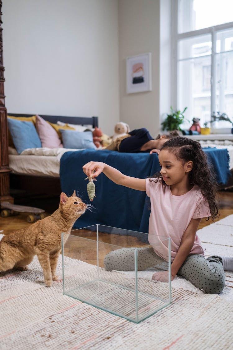 Girl Playing With Her Pet Cat