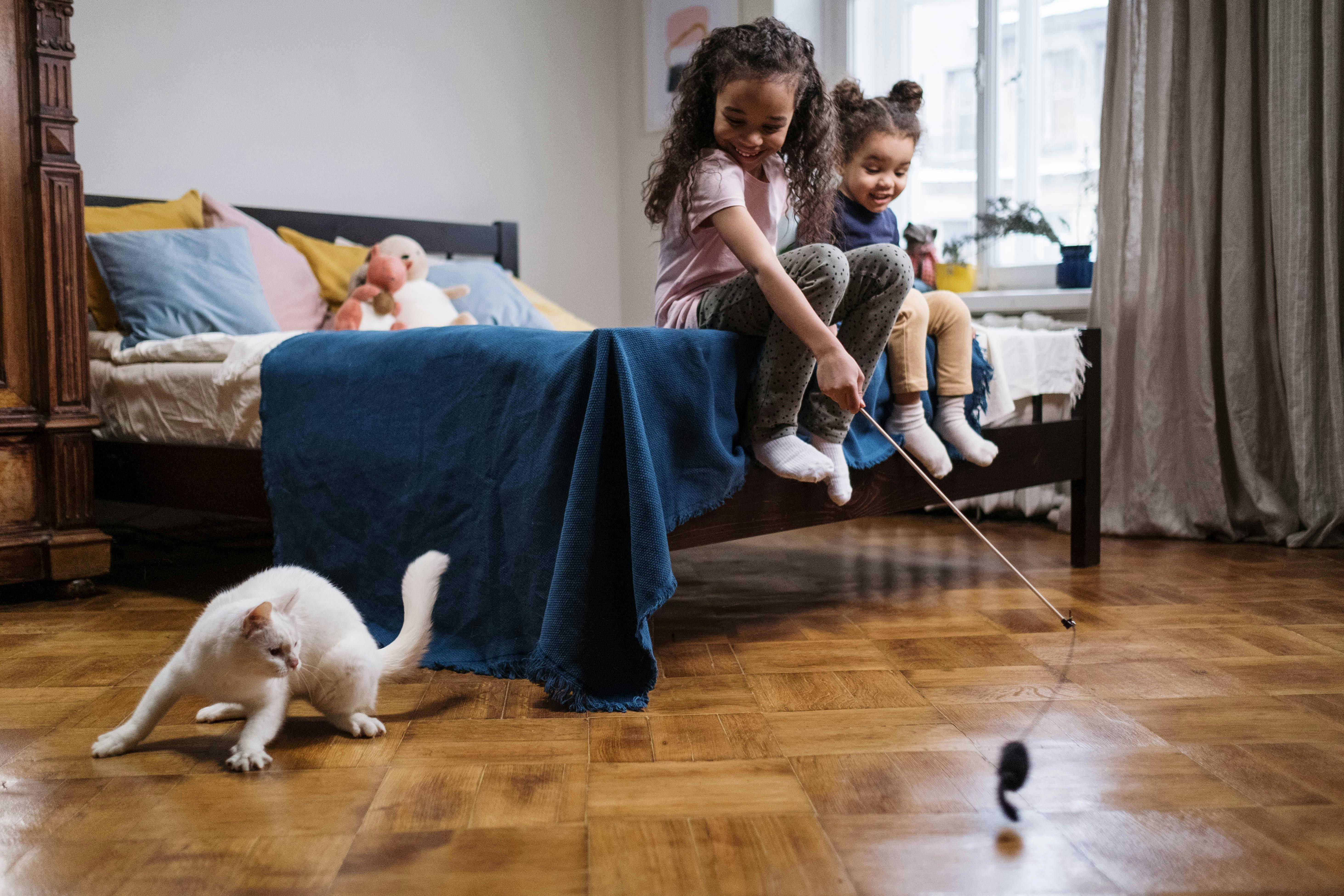 kids playing with white cat