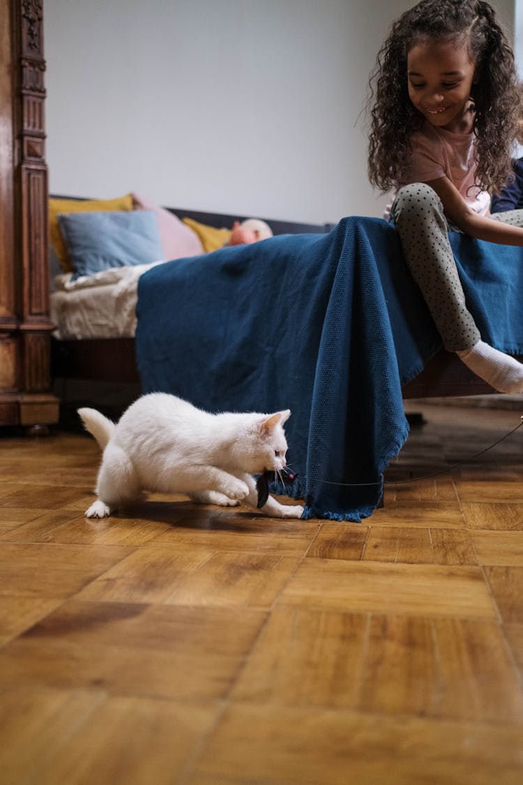 White Cat Playing On Blue Textile