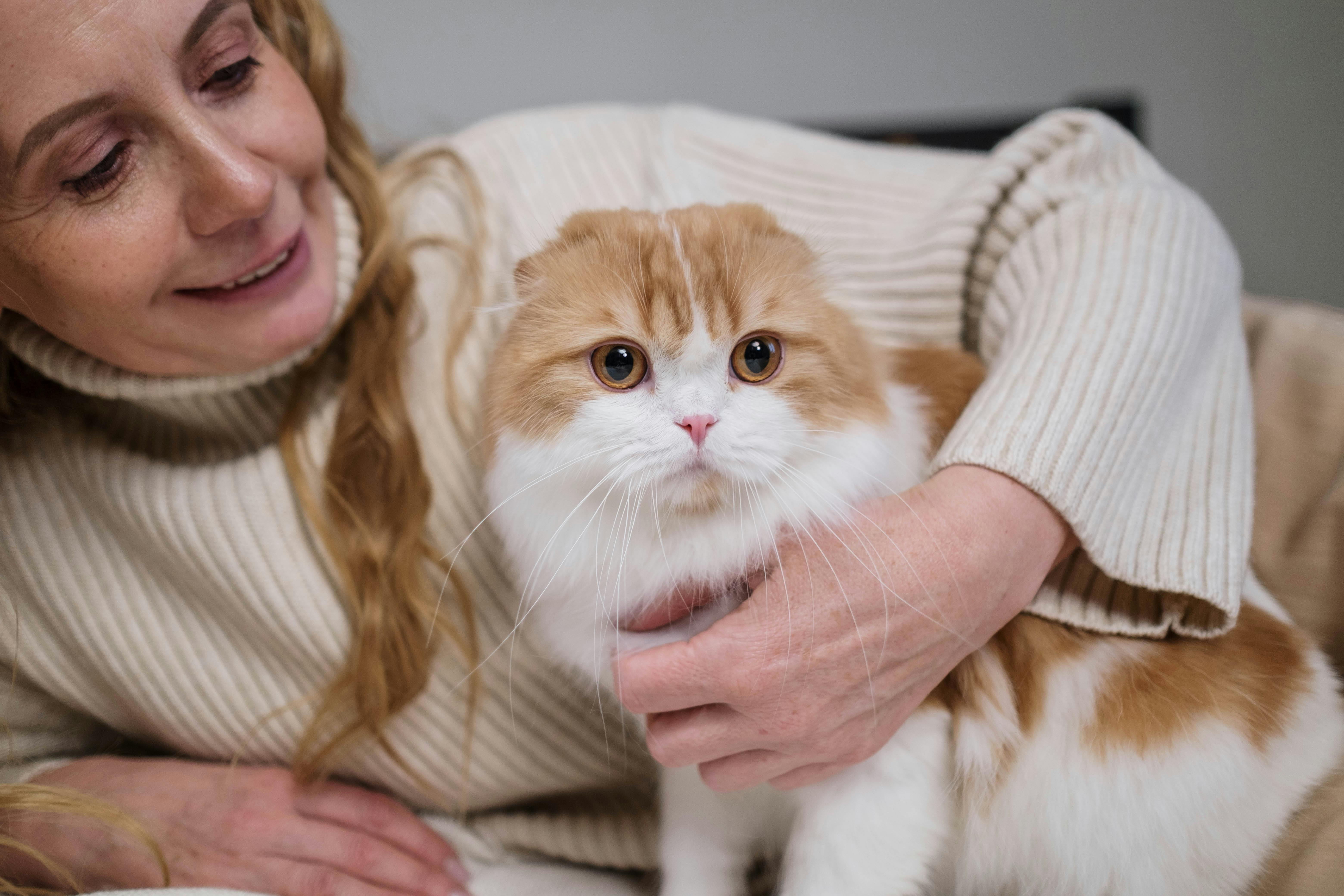 woman in white sweater holding orange and white cat