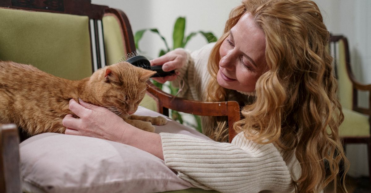 The Complete Guide to Pet Care: Essential Tips for Every Owner