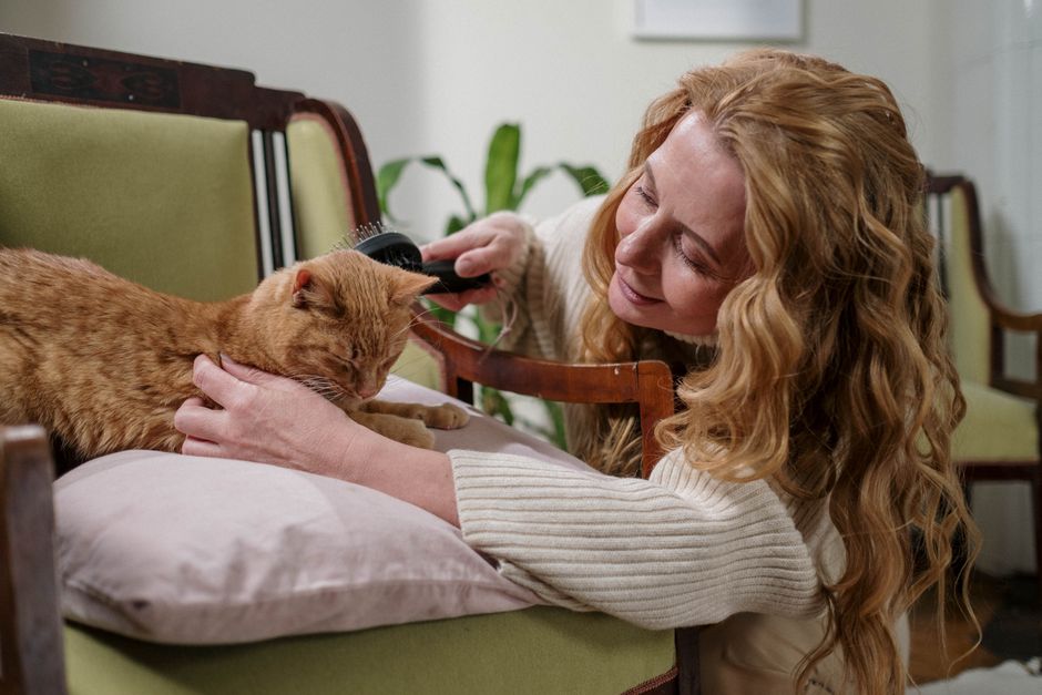 Woman brushing a relaxed orange tabby cat that lies with its eyes closed on a cushion on a green armchair
