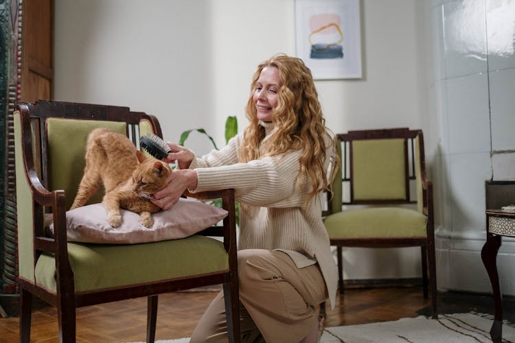 Woman Brushing Her Pet Cat